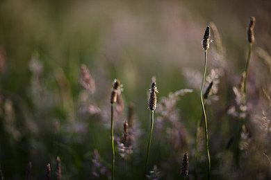 《使命召唤：黑色行动6》官方PC配置需求 平易近人